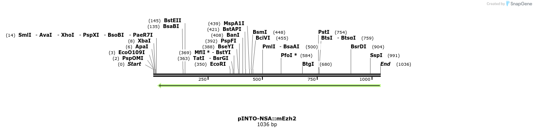 103130_map