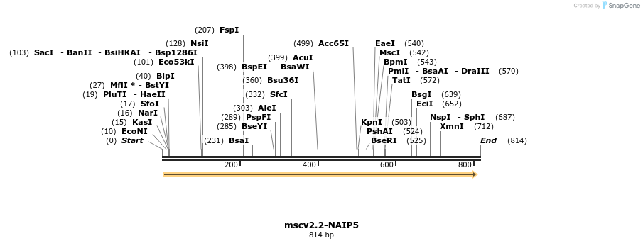 103141_map