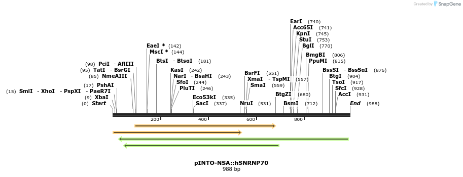 103142_map