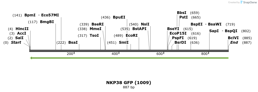 103144_map