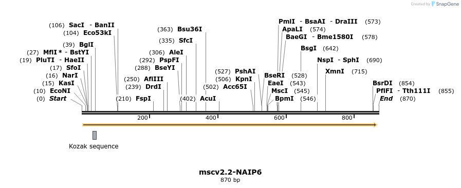 103147_map