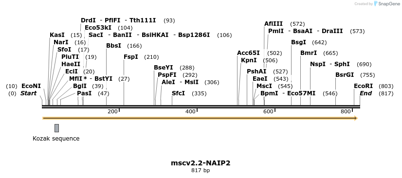 103152_map