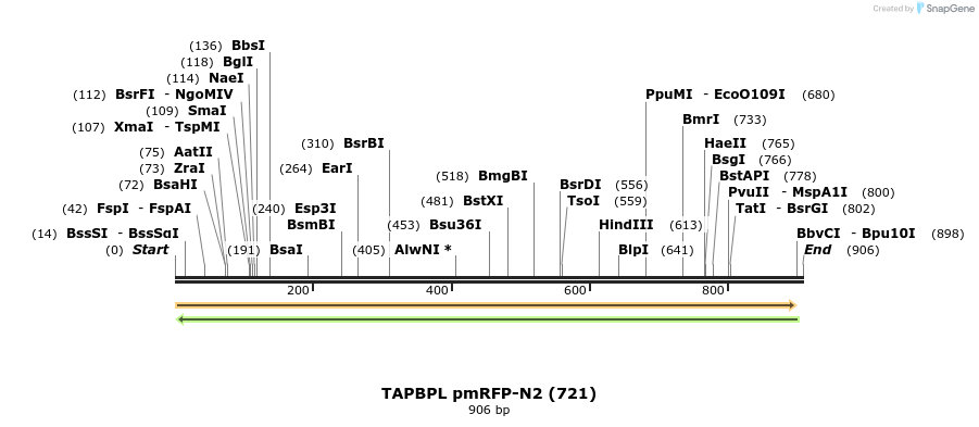103153_map