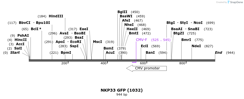 103154_map
