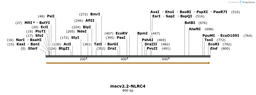 103157_map