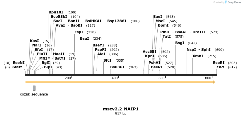 103159_map