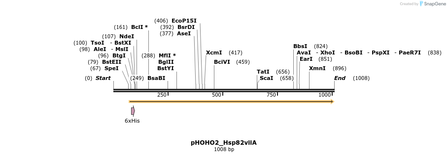 103164_map