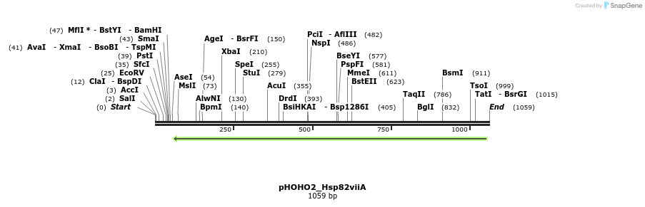 103168_map