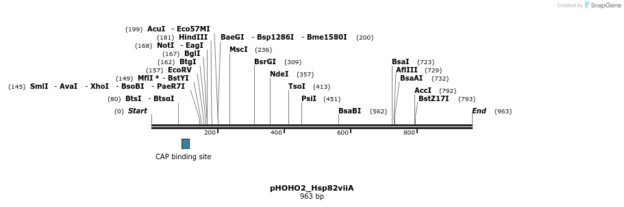 103172_map