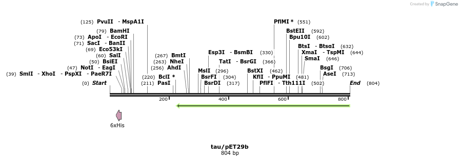 103177_map