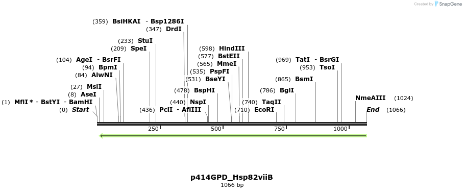103186_map