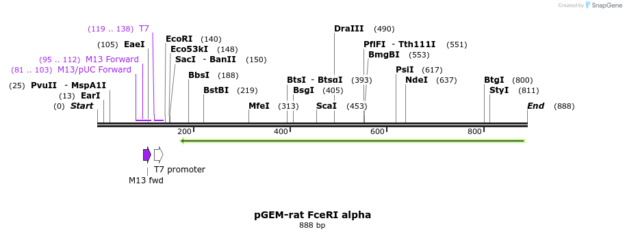103188_map