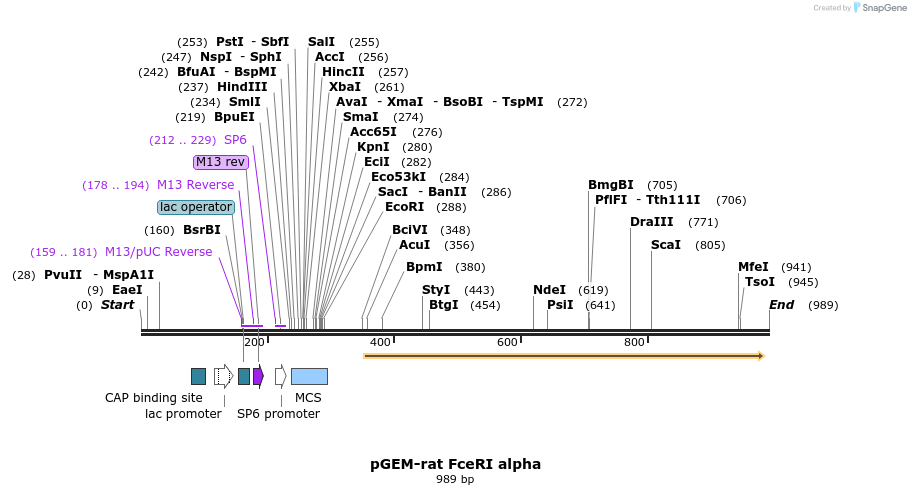 103190_map