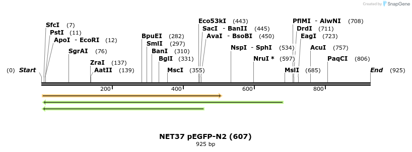 103191_map