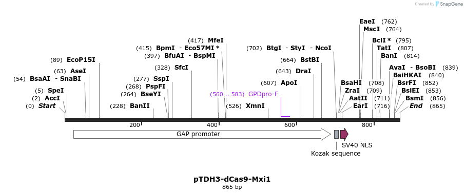 103194_map