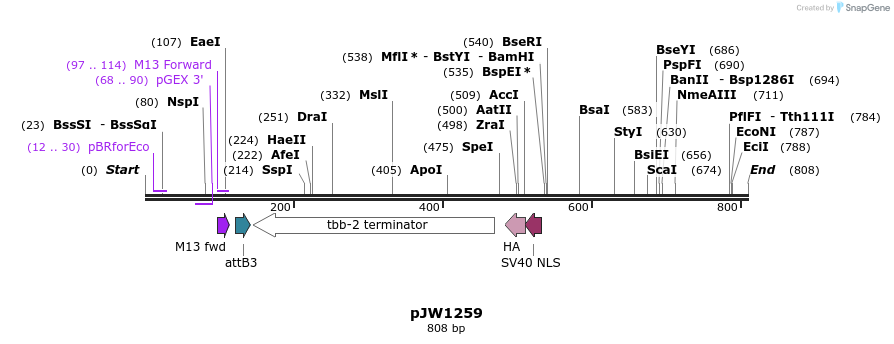 103196_map