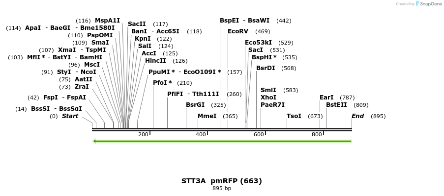 103198_map