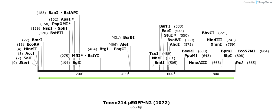 103203_map