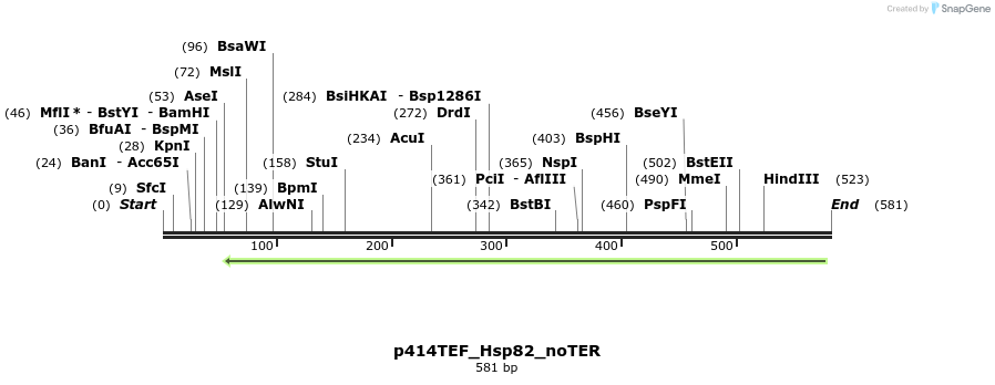103213_map