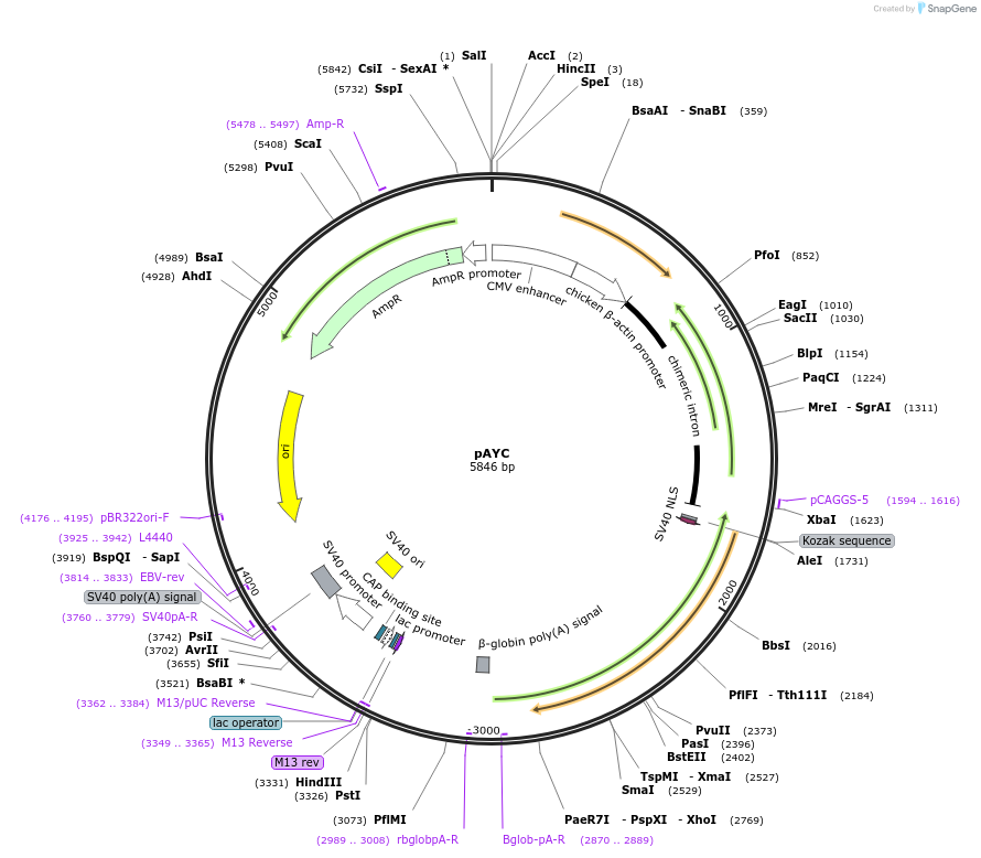 103214_map