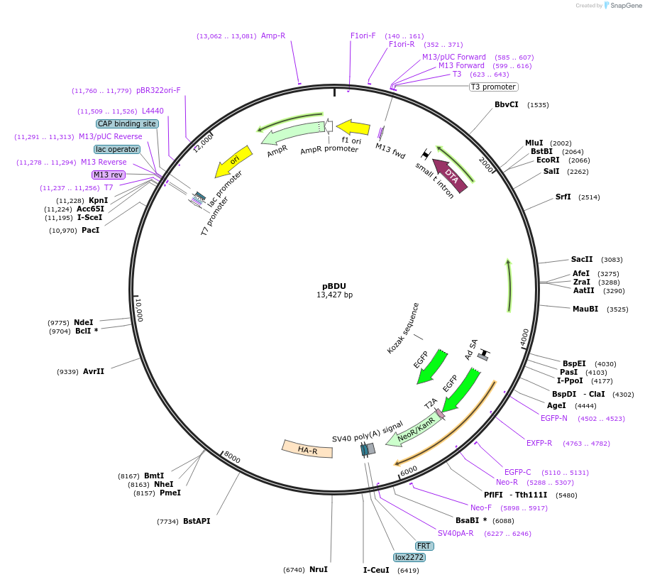 103219_map