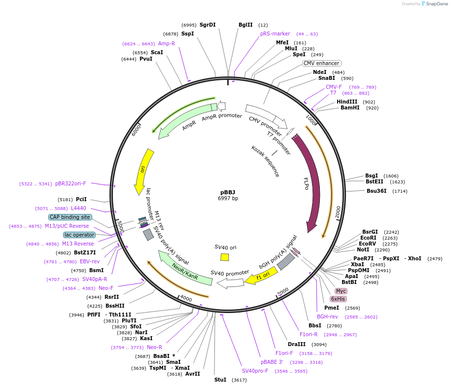 103231_map