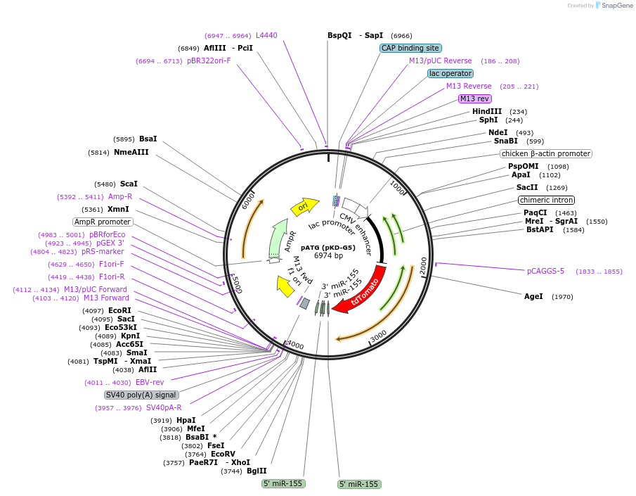 103237_map