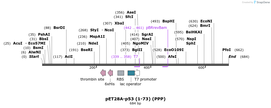 103270_map