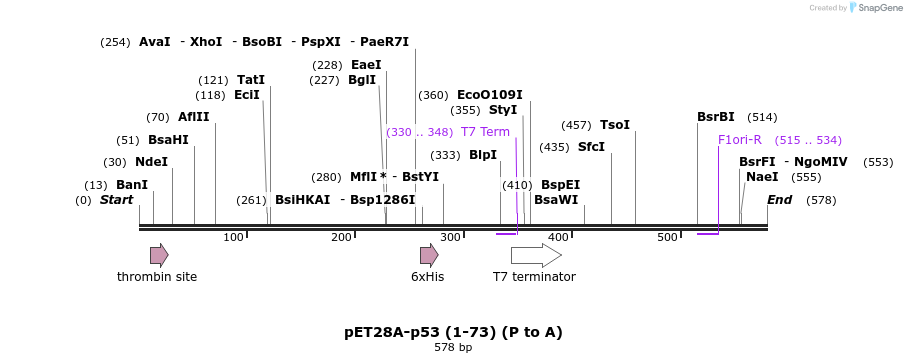 103273_map