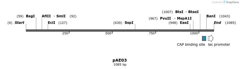 103277_map
