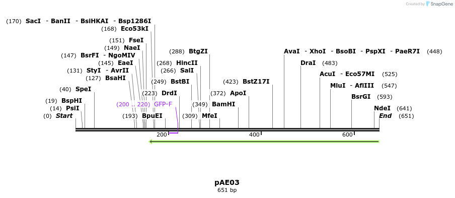 103278_map
