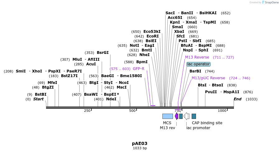 103279_map