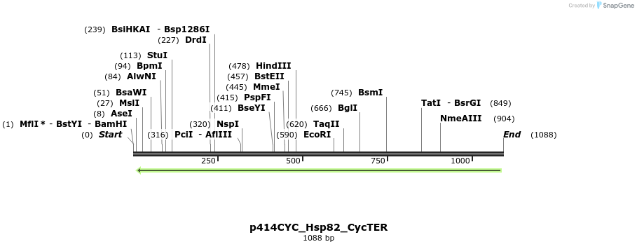 103282_map