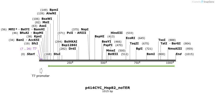 103285_map