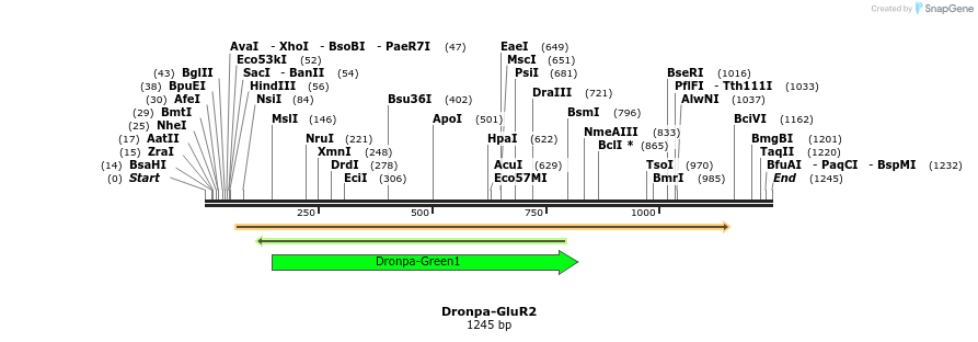 103286_map