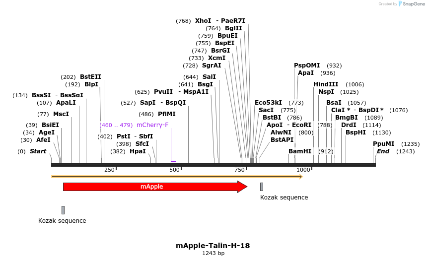 103294_map