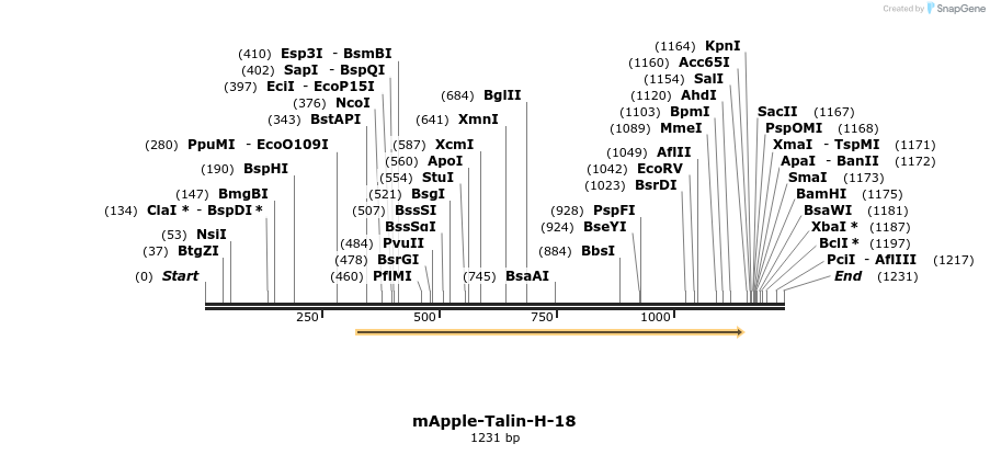 103295_map