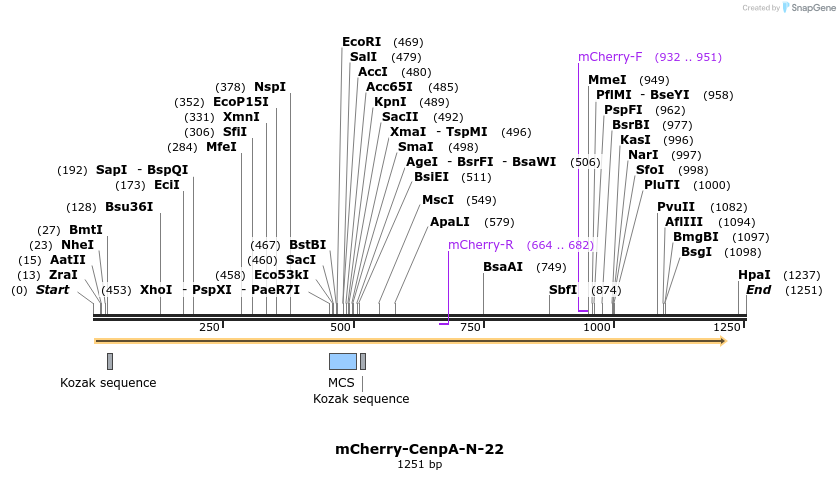 103300_map
