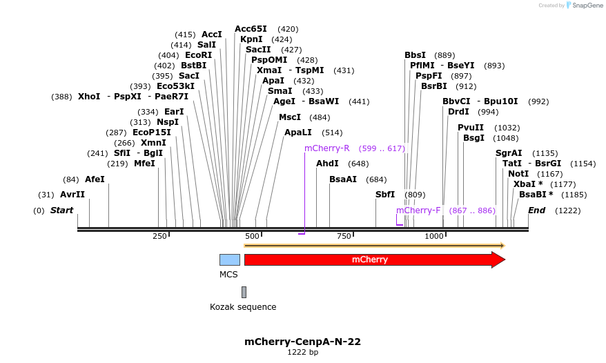 103301_map