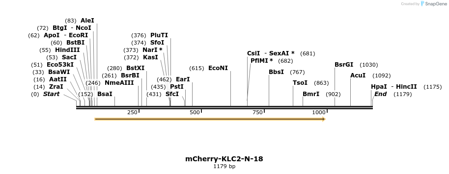 103310_map