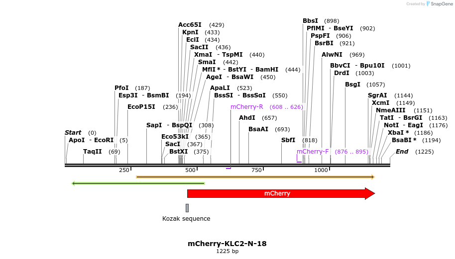 103311_map