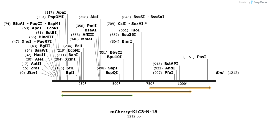103312_map
