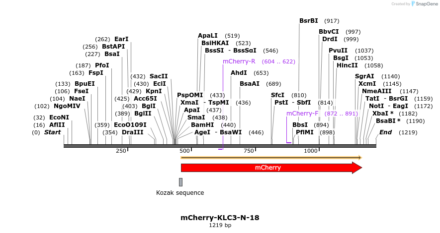 103313_map
