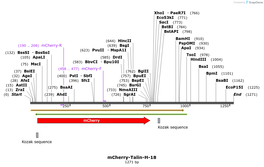 103314_map
