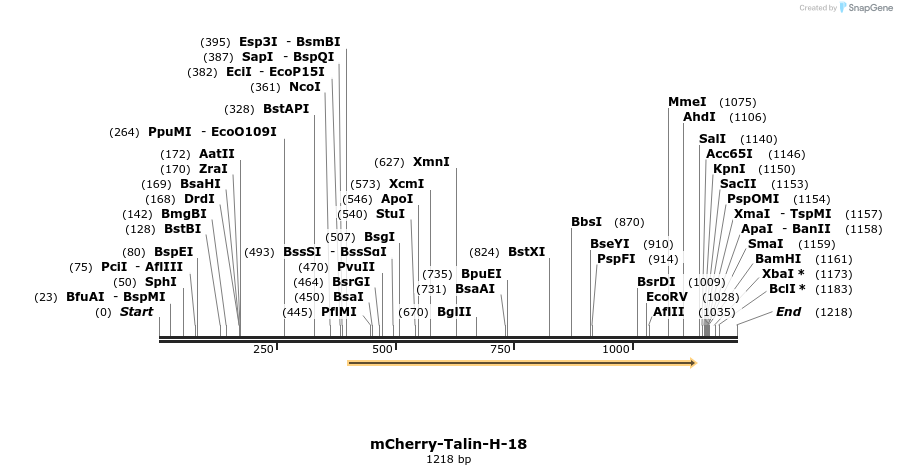 103315_map
