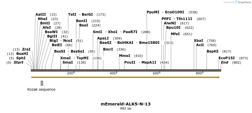 103318_map