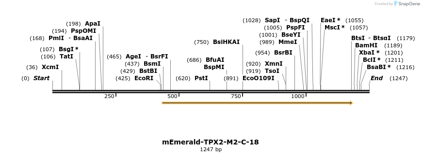 103347_map