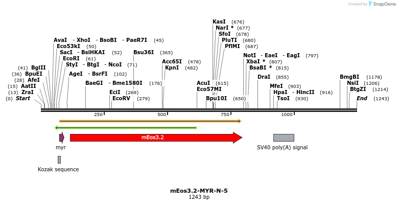103354_map