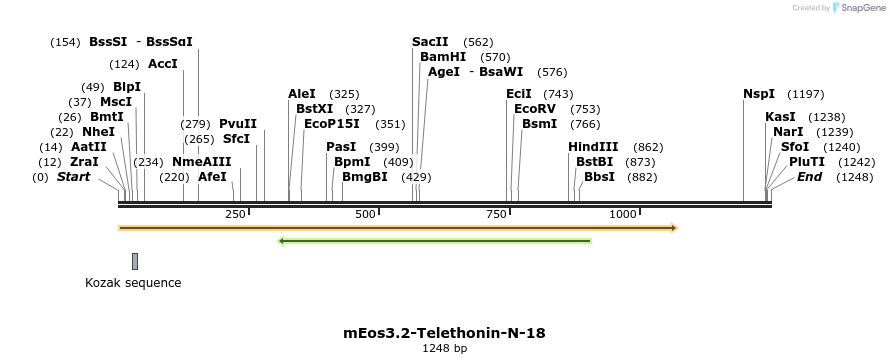 103358_map
