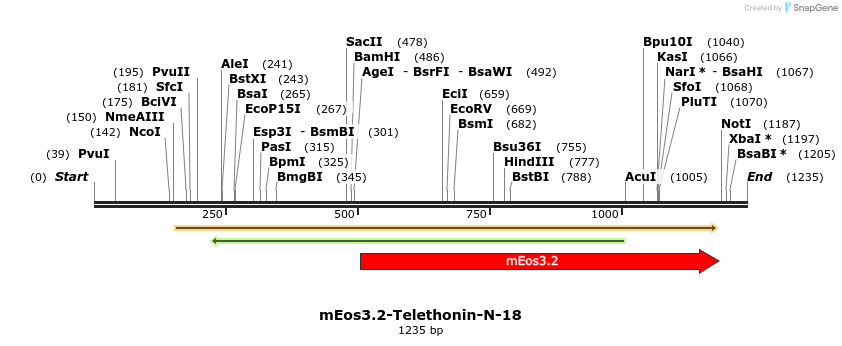 103359_map